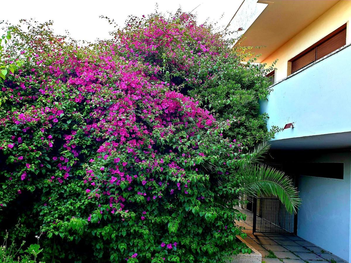Quiet House Garden Naples-Pompei-Sorrento Villa Trecase Eksteriør billede